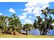Picturesque lake view framed by various palm trees and clear blue skies with scattered clouds, enhancing natural beauty at 76 Sportsman Rd, Rotonda West, FL 33947