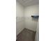Walk-in closet with carpeted floor and a wire shelf for optimized storage at 15968 Honeysuckle St, Port Charlotte, FL 33953