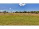 A view of the property's field, showcasing its spaciousness and natural surroundings at 16489 Trading Post Rd, Punta Gorda, FL 33955
