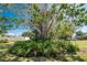 Mature banyan tree in the backyard providing a beautiful shady retreat at 2033 Georgia Ave, Englewood, FL 34224