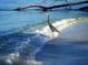Heron at the surf's edge at 301 S Gulf Blvd # 419, Placida, FL 33946