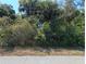 Vacant grassy lot ready for your imagination to design the perfect landscape at 3278 Cabaret St, Port Charlotte, FL 33948