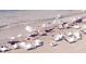 Shore birds are foraging for food on the beach at 342 S Gulf Blvd, Placida, FL 33946