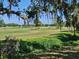 Scenic golf course view featuring lush greenery and scattered trees under a blue sky at 351 Bobby Jones Rd # 351, Sarasota, FL 34232