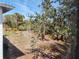 Backyard with lush greenery viewed from the window at 6800 Placida Rd # F294, Englewood, FL 34224