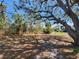 Expansive backyard featuring large shady trees and ample space for outdoor activities at 6800 Placida Rd # F294, Englewood, FL 34224