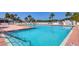Outdoor community pool area with lounge chairs and tropical palm trees at 809 Tangerine Woods Blvd # 215, Englewood, FL 34223