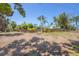 Large backyard with lush vegetation and wooden fence providing privacy and security at 20 Spaniards Rd, Placida, FL 33946