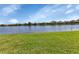 Spacious green backyard gently sloping towards a tranquil lake surrounded by lush vegetation at 2669 Wax Myrtle Ct, Port Charlotte, FL 33953