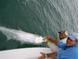 Fishing is one of many outdoor activities that beachfront living allows residents to enjoy at 2769 N Beach Rd # 105, Englewood, FL 34223