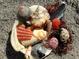Beachfront living with an abundance of seashells that offer opportunities for beach-combing at 2769 N Beach Rd # 105, Englewood, FL 34223