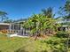 Backyard with banana trees near the pool enclosure and well-maintained grass at 6181 Jack St, Venice, FL 34293