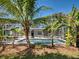 A backyard pool area is surrounded by lush tropical foliage and a screened enclosure at 6181 Jack St, Venice, FL 34293