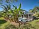 Backyard showcasing a screened pool surrounded by lush tropical landscaping and banana trees at 6181 Jack St, Venice, FL 34293