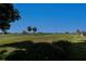 View of backyard on golf course with green grass and beautiful trees at 81 Oakland Hills Pl, Rotonda West, FL 33947