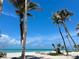 A beautiful beach with clear blue skies and tall palm trees, creating a tropical paradise ambiance at 8714 King St, Placida, FL 33946