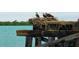 Image shows a pair of osprey chicks in a nest on a wooden structure over the water at 8714 King St, Placida, FL 33946