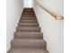 Carpeted staircase with wooden handrail provides access to the upper level of the home at 1167 Rotonda Cir, Rotonda West, FL 33947