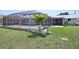 Lush backyard with a well-maintained lawn, tropical trees, and a screened-in pool at 3246 Yukon Dr, Port Charlotte, FL 33948