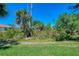 The backyard boasts green grass, mature trees, and lush landscaping at 3433 Grand Vista Ct # 102, Port Charlotte, FL 33953
