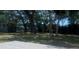 View of backyard with trees and a newly installed grey patio at 5417 Postma St, North Port, FL 34287