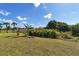 Beautiful backyard with tropical foliage, palm trees, and expansive grassy area perfect for activities at 56 Long Meadow Ct, Rotonda West, FL 33947