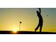 Silhouette of a golfer swinging with a beautiful sunset in the background at 6062 Spinnaker Blvd, Englewood, FL 34224