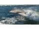Dolphin jumping out of the water near a boat at 6062 Spinnaker Blvd, Englewood, FL 34224