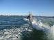 Dolphin jumping out of the water with a clear sky and a wake behind it at 6062 Spinnaker Blvd, Englewood, FL 34224
