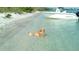 Golden retriever sits in the water next to a white boat on a sandy beach at 6062 Spinnaker Blvd, Englewood, FL 34224
