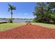 Spacious backyard with a palm tree and view of a lake at 6305 Shalimar St, Port Charlotte, FL 33981