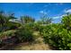 Well manicured backyard with lush green landscaping, including flowering plants at 148 Jose Gaspar Dr # 148, Englewood, FL 34223
