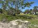 A vacant property lot with lush green grass, a large shade tree, and plenty of room to build your dream home at 1916 Myrtle Ave, Punta Gorda, FL 33950