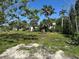 Large yard with palm trees and lush vegetation at 1916 Myrtle Ave, Punta Gorda, FL 33950