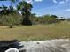 A spacious backyard with healthy green grass and lush trees at 194 Garden Nw Ave, Port Charlotte, FL 33952