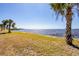 Scenic waterfront view with clear blue water, lush green lawn, and swaying palm trees under a clear sky at 4410 Warren Ave # 306, Port Charlotte, FL 33953