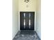 Modern double front doors with glass inserts and stylish hardware at 725 Clearview Dr, Port Charlotte, FL 33953