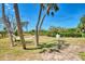 Lush backyard with palm trees and a hammock provide a serene oasis at 760 S Oxford Dr, Englewood, FL 34223