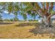 Expansive backyard with mature tree shading the yard, offering privacy and space for outdoor activities at 9149 Castlehill Ave, Englewood, FL 34224