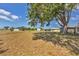 Spacious backyard showcasing a large shade tree and plenty of room for outdoor activities at 9149 Castlehill Ave, Englewood, FL 34224