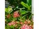 Butterfly on flower blossoms adds charm to a lush Florida garden at 9580 Almirate Ct, Placida, FL 33946