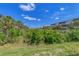 Lush landscaping view of grassy lawn, shrubs, palm trees, and a multi-story building at 10411 Coral Landings Ln # 85, Placida, FL 33946