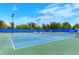 Multiple well-kept tennis courts with pristine surfaces and nets at 1318 Ballota Ln, North Port, FL 34289