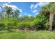 A verdant green yard with mature trees in a serene and natural setting providing privacy and beauty at 8320 Creekview Ln, Englewood, FL 34224