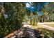 Sun dappled view of a long shell driveway framed by mature trees and lush greenery provides shade and privacy at 875 Morrison Ave, Englewood, FL 34223