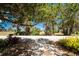 A peaceful street view showcases a home with mature trees and well-maintained landscaping at 875 Morrison Ave, Englewood, FL 34223