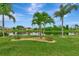 Well manicured backyard overlooking a waterway with beautiful landscaping including a variety of palms at 29 Tournament Rd, Rotonda West, FL 33947