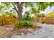 Serene backyard with a large shade tree, a picnic table, and gravel groundcover at 5250 Callaway St, Port Charlotte, FL 33981