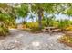 Spacious backyard with gravel groundcover and a wooden picnic table under a shade tree at 5250 Callaway St, Port Charlotte, FL 33981