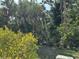 View of lush backyard featuring mature trees and tropical landscaping at 786 Heathercreek Ct, Englewood, FL 34223